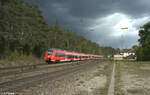 442 249 als S1 S39176 Neumarkt/Oberpfalz - Fürth in Ochenbruck.