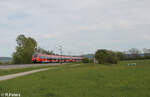 442 235 als S1 S39168 Neumarkt/Oberpfalz - Bamberg bei Pölling. 28.04.24