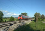 442 725  Münsterstadt Heilbronn  als S1 39190 Neumarkt/Oberpfalz - Erlangen bei Pölling.