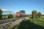 442 743 als S1 39192 Neumarkt/Oberpfalz - Bamberg bei Pölling.