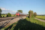 442 743 als S1 39192 Neumarkt/Oberpfalz - Bamberg bei Pölling. 14.05.24