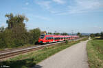 442 747 als S1 nach Forchheim bei Pölling. 28.08.24