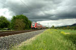 445 062 als RE 55 4622 Bamberg - Frankfurt/Main bei Thüngersheim.