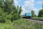 Einfahrt 223 066 mit dem ALX84113 Hof - Mnchen in Wiesau/Oberpfalz.