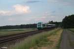 223 069 + 223 063 und dem ALX8411x München - Hof bei Oberteich.