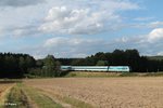 223 065 mit dem ALX84121 Hof - München bei Oberteich.