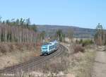 223 062 zieht den ALX84111 Hof - München bei Schönfeld kurz vor Wiesau.