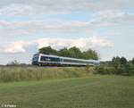 223 081 mit dem ALX79882 München - Hof bei Oberteich.