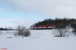 223 031 auf dem Weg von Regensburg nach Cheb um ein Kesselzug zu holen, bei Oberteich.