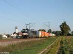 X4E 601 alias 193 601 mit einem Containerzug bei Moosham in Richtung Nürnberg.