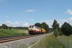 218 105 der NeSa mit einem kurzen Bauzug von München in Richtung Norden kurz vor Reuth bei Erbendorf in Richtung Hof unterwegs.