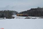 218 155 überführt ein Speno nach Passau als sie bei Oberteich durch rollt. 07.01.21