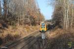 1648 206 fährt in Reuth bei Erbendorf als OPB 79728 Regensburg - Marktredwitz.