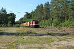 114 703-2 mit einem Bauzug am Haken in Ochenbruck gen Süden. 15.09.23