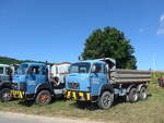 (205'822) - Egli Thayngen - SH 49'740 + ohne Nr.
