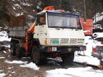 (257'612) - Steyr - BE 16'674 - am 12. Dezember 2023 in Achseten, Bettbach