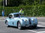 (262'566) - Jaguar - UR 2146 - am 18. Mai 2024 in Sarnen, OiO