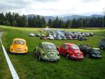(129'275) - VW-Kfer-Treffen in Wachseldorn am 4.