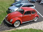 (193'734) - VW-Kfer - BE 537'104 - am 3.