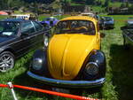 (227'842) - VW-Kfer - BE 16'701 - am 5.
