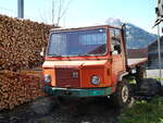 (249'541) - Reform Muli - BE 39'925 - am 4.
