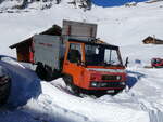 (270'351) - Reform-Muli - BE 625'917 - am 29. Dezember 2024 auf der Bussalp