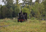 Im Elssser Ried mit der CFTR.

030 TB 134  Theodor  ist mit der Funktionsprfung des Bahnbergangs nahe der Rheinbrcke nach Breisach beschftigt. Vogelgrn, September 2024.