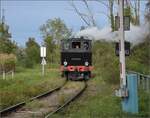 Im Elssser Ried mit der CFTR.

030 TB 134  Theodor  am Bahnbergang nahe des Abzweigs von der ehemaligen Colmarer/Breisacher-Bahn. Volgelsheim, September 2024.