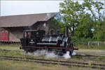 Im Elsässer Ried mit der CFTR.

030 TB 134  Theodor  in Volgelsheim. September 2024.