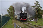 Im Elsässer Ried mit der CFTR.

030 TB 134  Theodor  fährt mit dem Zug am Betriebswerk der Museumsbahn CFTR vorbei. Volgelsheim,  September 2024.