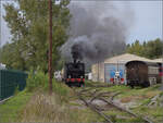 Im Elsässer Ried mit der CFTR.

030 TB 134  Theodor  fährt mit dem Zug am Betriebswerk der Museumsbahn CFTR vorbei. Volgelsheim,  September 2024.