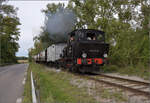 Im Elsässer Ried mit der CFTR.

030 TB 134  Theodor  bezwingt die einzige nennenswerte Steigung zur Brücke über den Colmarer Kanal. Biesheim, September 2024.