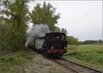 Im Elsässer Ried mit der CFTR.

030 TB 134  Theodor  nahe der Aluminiumfabrik von Constellium. Biesheim, September 2024.