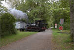 Im Elsässer Ried mit der CFTR.