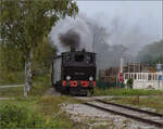 Im Elsässer Ried mit der CFTR.

030 TB 134  Theodor  beim Gewerbegebiet Obergrund in Baltzenheim. September 2024.