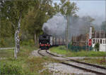 Im Elsässer Ried mit der CFTR.

030 TB 134  Theodor  im Wald von Baltzenheim. September 2024.