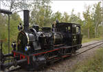 Im Elsässer Ried mit der CFTR.

030 TB 134  Theodor  im Wald von Baltzenheim. September 2024.