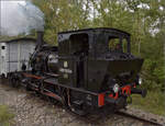 Im Elsässer Ried mit der CFTR.

030 TB 134  Theodor  im Wald von Baltzenheim. September 2024.