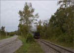 Im Elsässer Ried mit der CFTR.

030 TB 134  Theodor  im Wald von Baltzenheim. September 2024.