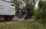 Im Elsässer Ried mit der CFTR.

030 TB 134  Theodor  im Wald von Baltzenheim. September 2024.