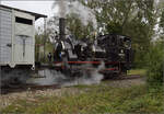 Im Elsässer Ried mit der CFTR.

030 TB 134  Theodor  an der Haltestelle Sans-Souci, Artzenheim. September 2024.