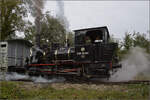 Im Elsässer Ried mit der CFTR.

030 TB 134  Theodor  an der Haltestelle Sans-Souci, Artzenheim. September 2024.