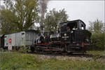 Im Elsässer Ried mit der CFTR.

030 TB 134  Theodor  an der Haltestelle Sans-Souci, Artzenheim. September 2024.