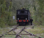 Im Elssser Ried mit der CFTR.

030 TB 134  Theodor  zieht den Museumszug in den  Bahnhof  Sans-Souci, Artzenheim. September 2024.