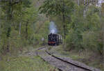 Im Elsässer Ried mit der CFTR.