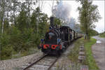 Im Elsässer Ried mit der CFTR.

030 TB 134  Theodor  bei Baltzenheim. September 2024.