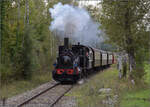 Im Elsässer Ried mit der CFTR.

030 TB 134  Theodor  bei Baltzenheim. September 2024.