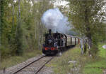 Im Elsässer Ried mit der CFTR.

030 TB 134  Theodor  bei Baltzenheim. September 2024.