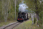 Im Elsässer Ried mit der CFTR.

030 TB 134  Theodor  bei Baltzenheim. September 2024.