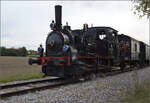 Im Elsässer Ried mit der CFTR.

030 TB 134  Theodor  bei Kunheim. September 2024.